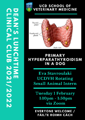 Image of thyroid and parathyroid glands on Clinical Club poster